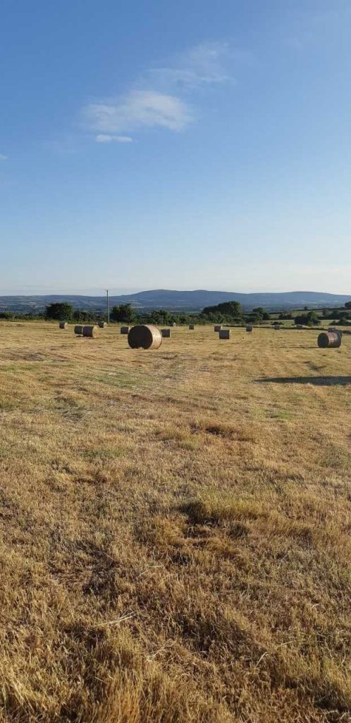 Keeping up with the Law