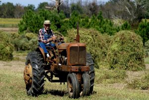 Farm Specific Issues in Estate Planning